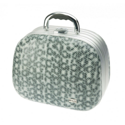 Чемодан для парикмахерских инструментов Dewal HP810B