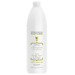 Шампунь Alfaparf Precious Nature Long and Straight Hair Oil Shampoo 1000 ml