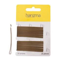 Невидимки для волос harizma h10540-04