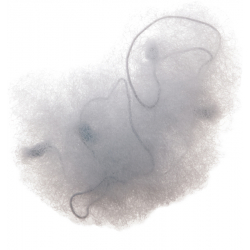 Сеточка-паутинка для волос Dewal CE053