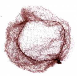 Сеточка-паутинка для волос Dewal CE054