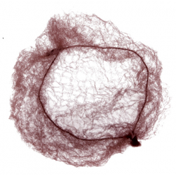 Сеточка-паутинка для волос Dewal CE104