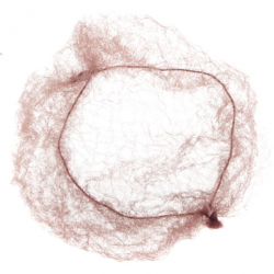 Сеточка-паутинка для волос Dewal CE101