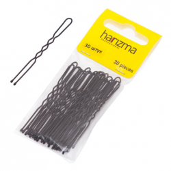 Шпильки для волос harizma h10543-15