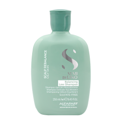 Шампунь Alfaparf SDL Scalp Balancing Low Shampoo 250 ml #1