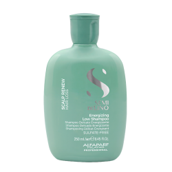 Шампунь Alfaparf SDL Scalp Energizing Low Shampoo 250 ml #1